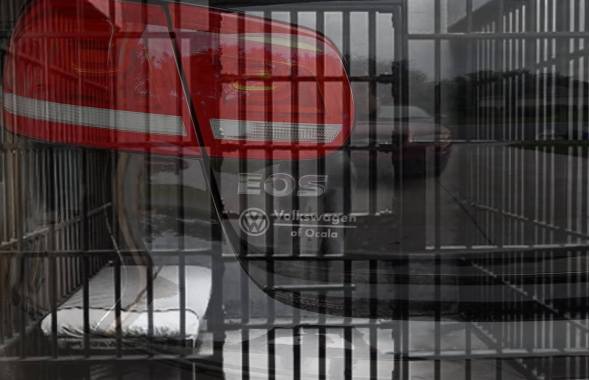 12747960_10154625553525760_6474519097744532411_o